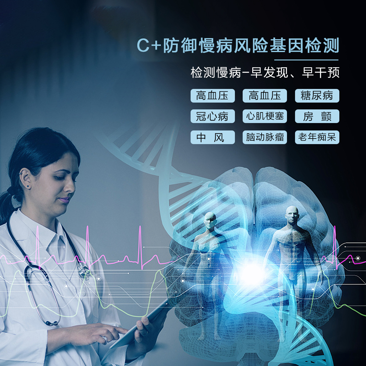 C+防御慢病II型—CL