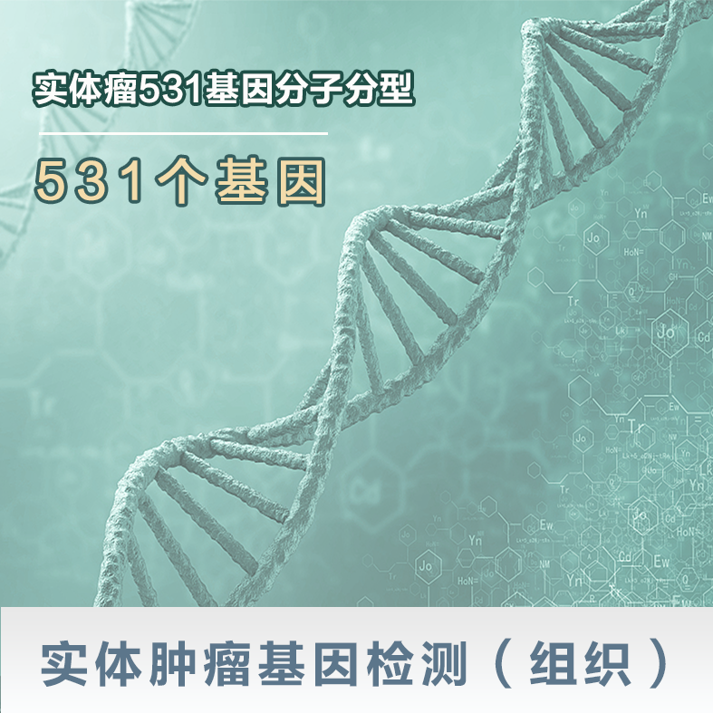 实体肿瘤基因检测（组织）-实体瘤531基因分子分型