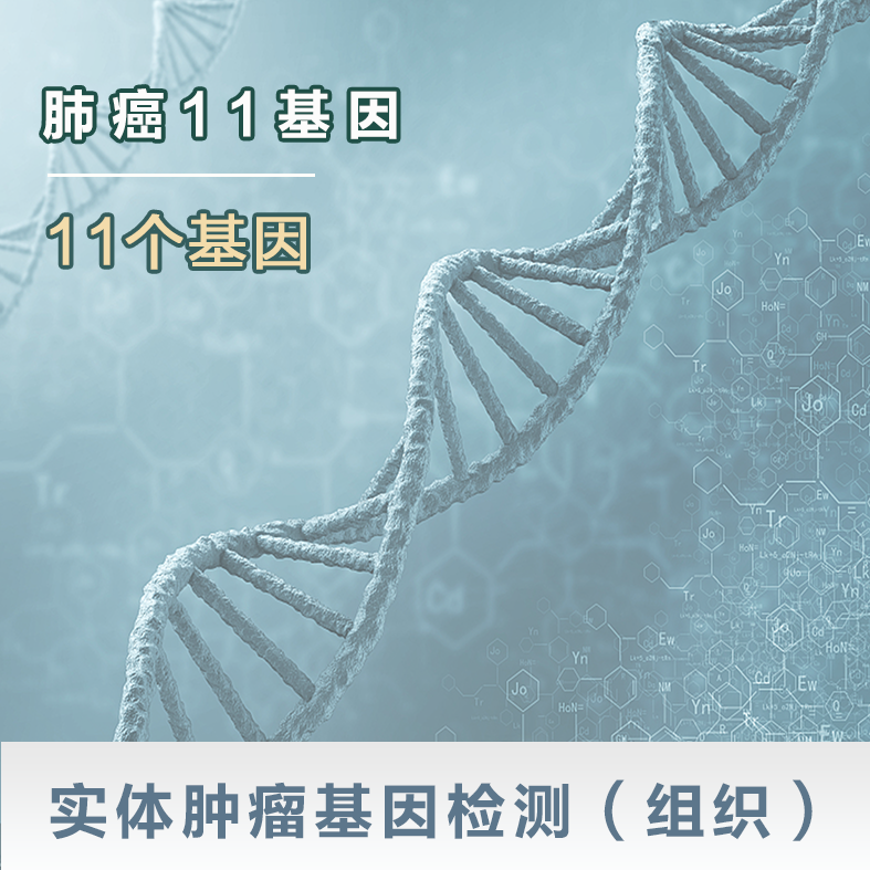 实体肿瘤基因检测（血液ctDNA）-肺癌11基因