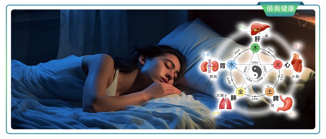 器官需要“深度睡眠” 