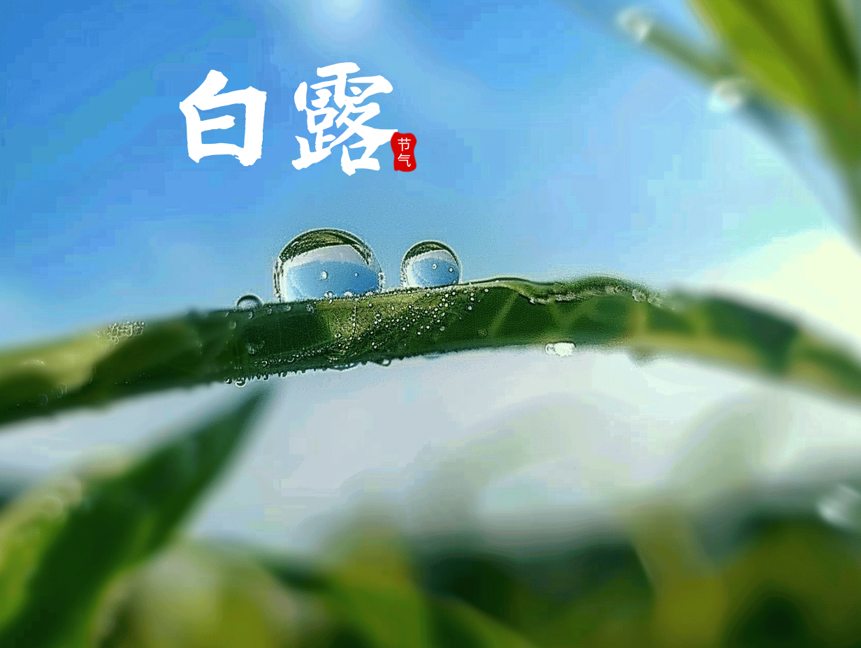 白露至，巧养生，重健康！