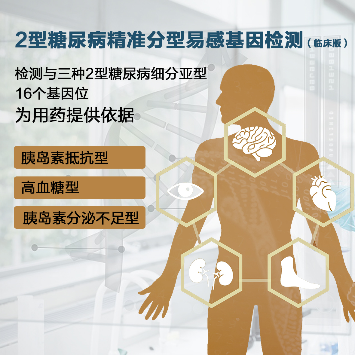 2型糖尿病精准分型及精准用药基因检测