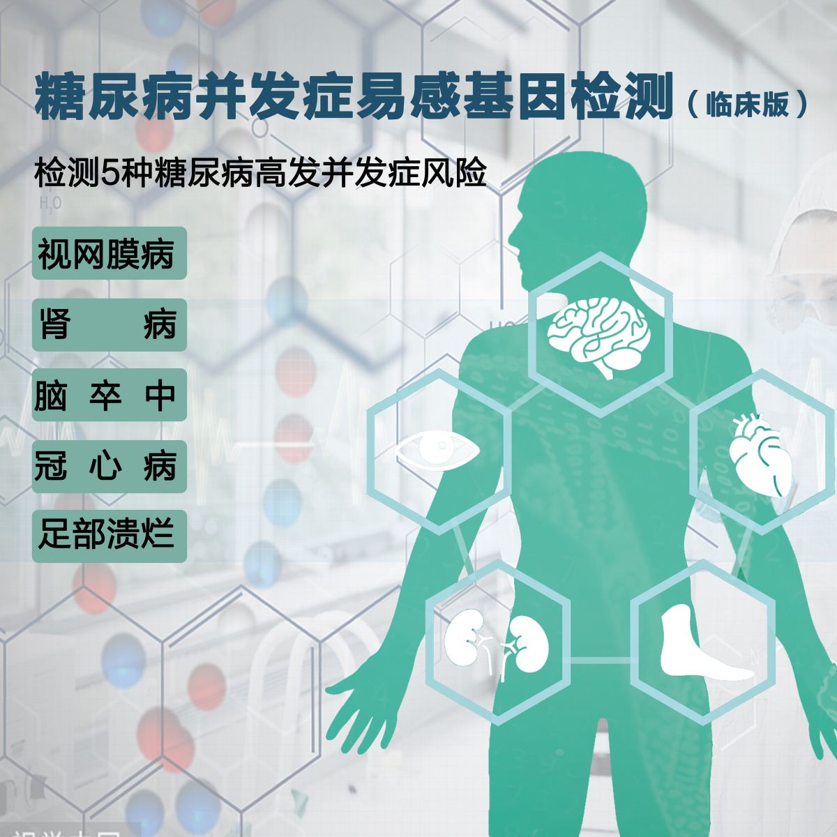 糖尿病并发症易感基因检测（临床版）