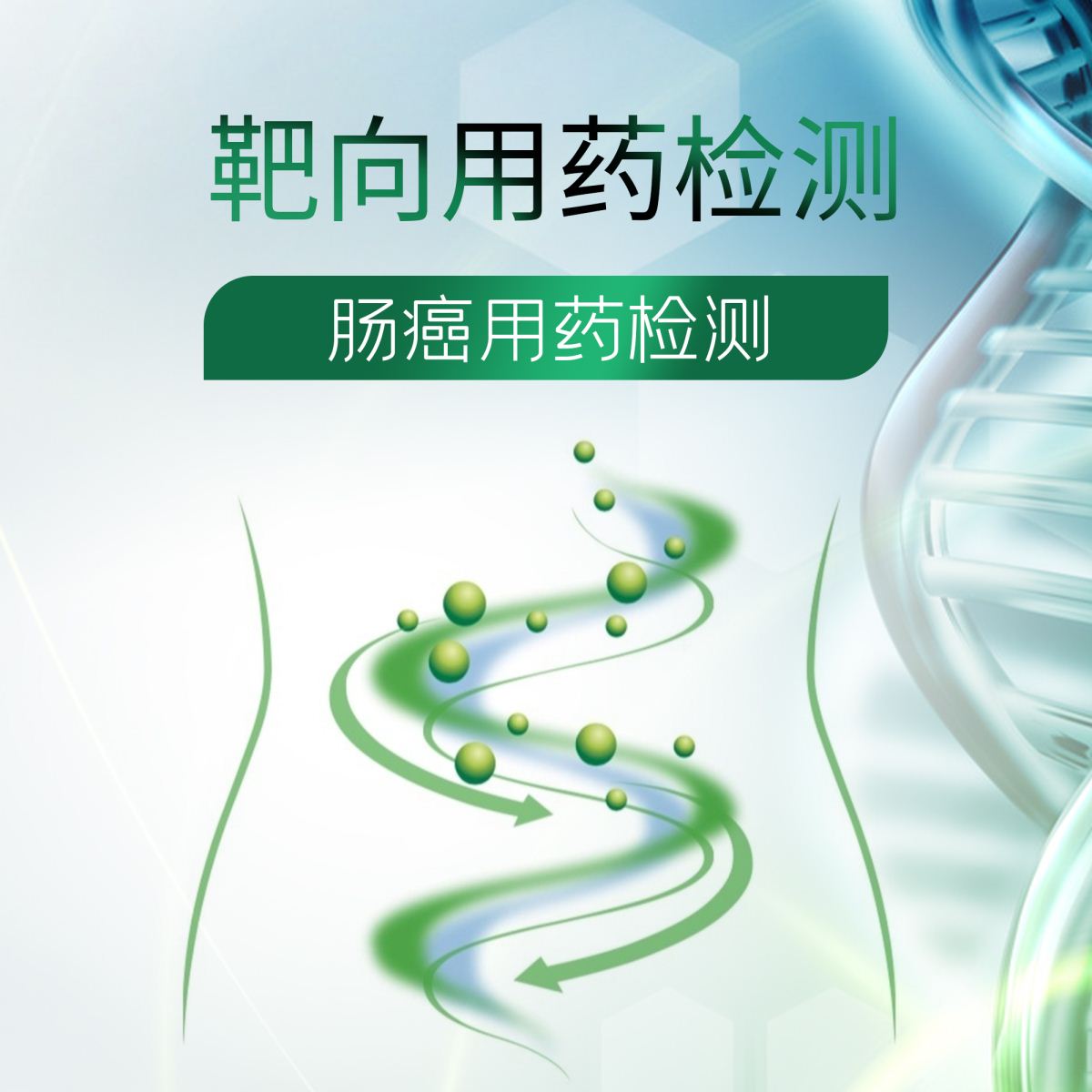 肠癌-靶向用药检测