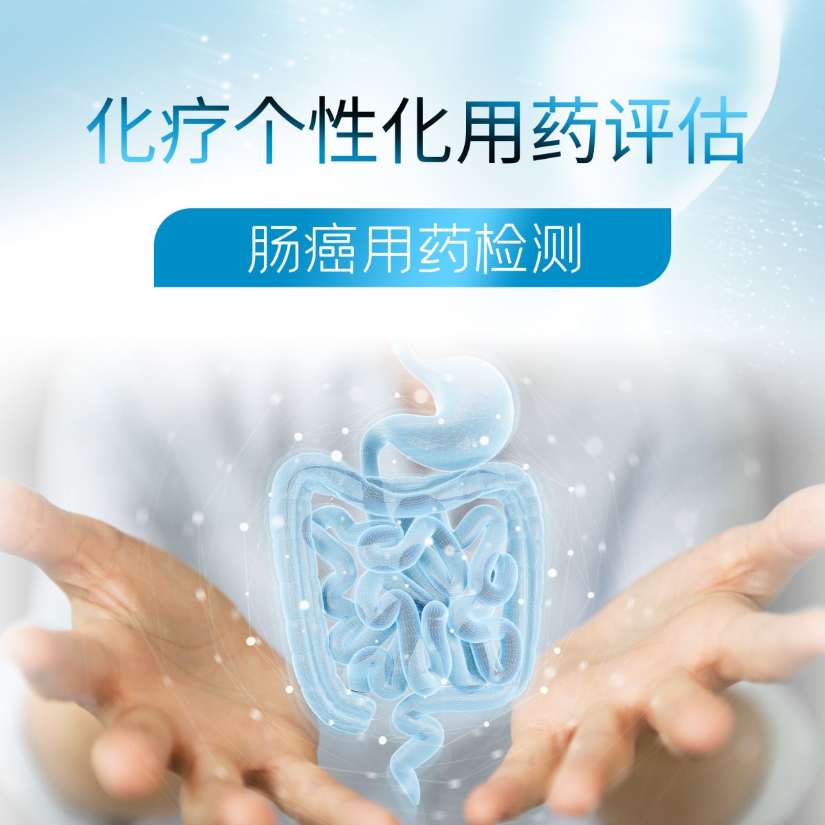 肠癌-化疗检测