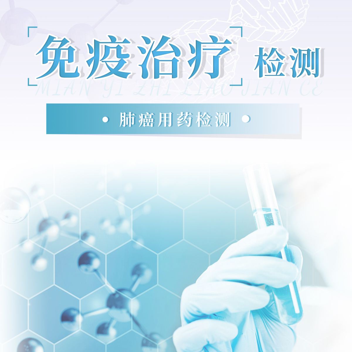 肺癌-免疫治疗检测