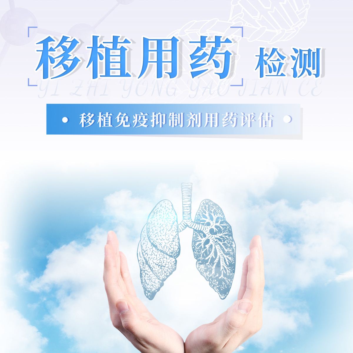肺癌-移植用药检测