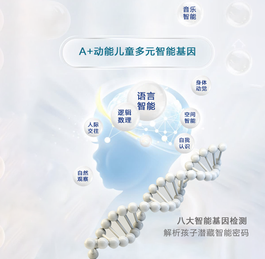 A+动力儿童多元智能基因